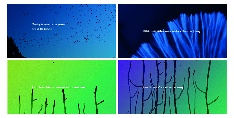 RIPPLES Exhibition Image